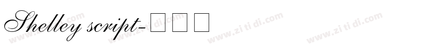 Shelley script字体转换